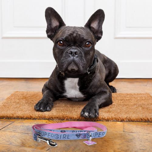 CORREA PERROS SUPERGIRL