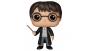 Funko Pop! Harry Potter n.1