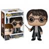 Funko Pop! Harry Potter n.1