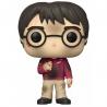 Funko Pop! Harry Potter Piedra Filosofal