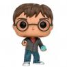 Funko Pop! Harry Potter Profecía