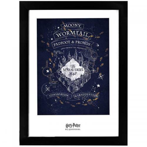 Cuadro Harry Potter Merodeadores