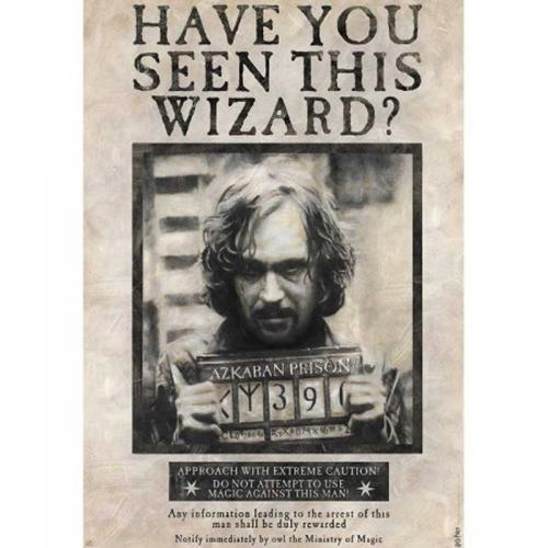 Póster Harry Poter Se busca a Sirius Black