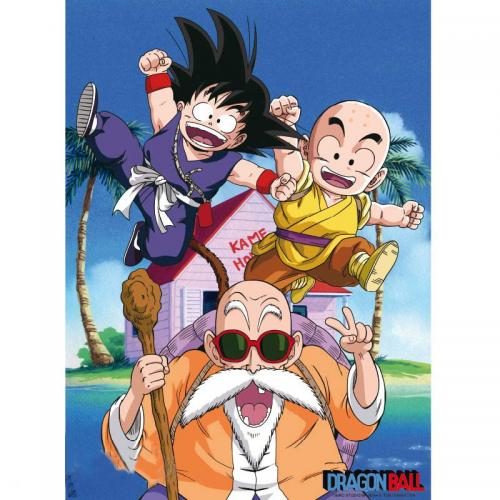 Póster Kame Team Dragon Ball