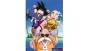 Póster Kame Team Dragon Ball
