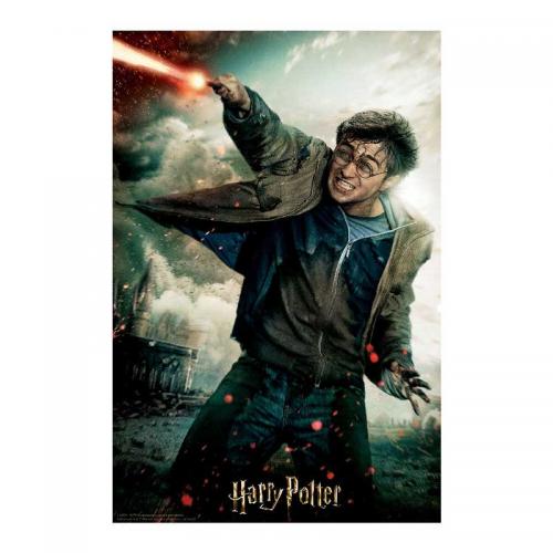 Puzzle Lenticular 3D Harry Potter Batalla 300 Piezas