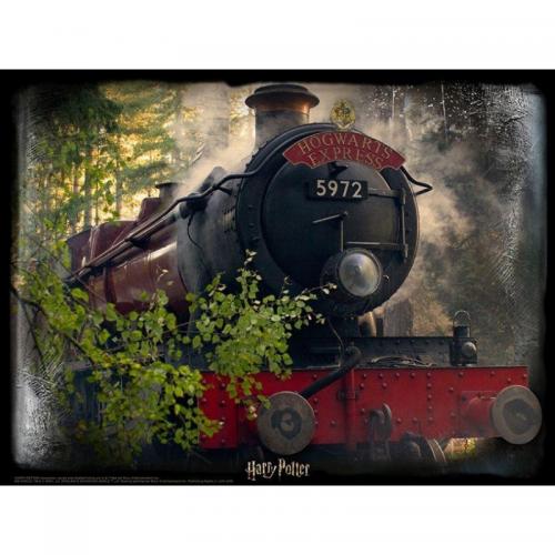 Puzzle Lenticular 3D Harry Potter Hogwarts Express 500 piezas