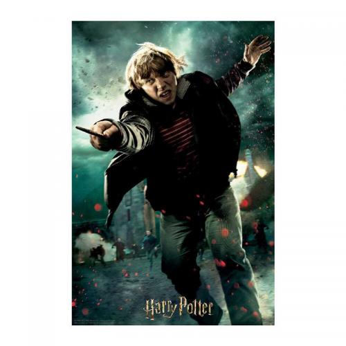 Puzzle Lenticular 3D Harry Potter Ron Weasley Batalla 300 piezas
