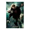 Puzzle Lenticular 3D Harry Potter Ron Weasley Batalla 300 piezas