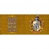 Taza Harry Potter Hufflepuff King Size