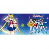 Taza Sailor Moon Sailor Warriors